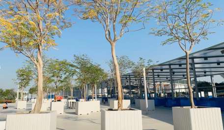 Expo2020 case study water management terrain polystorm permavoid rainwater attenuation solution tree planters